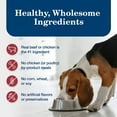 thumbnail image 6 of Blue Buffalo Homestyle Recipes Variety Pack, Adult Wet Dog Food, 12 ct., 12.5 oz., 6 of 10
