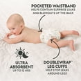 thumbnail image 9 of Member's Mark Premium Baby Diapers, Sizes Newborn - 8, 9 of 16