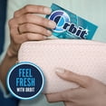 thumbnail image 7 of Orbit Mint Sugar Free Chewing Gum, Variety Pack, 14 pcs., 18 pk., 7 of 8