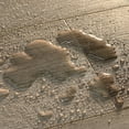 thumbnail image 4 of Select Surfaces Tucson SpillDefense Laminate Flooring, 4 of 11