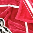 thumbnail image 6 of Logo Brands Wisconsin Badgers 60"x70" Super Plush Blanket, 6 of 6