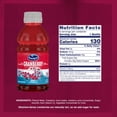 thumbnail image 2 of Ocean Spray Juice Drink Variety Pack 10 fl. oz., 18 pk., 2 of 8