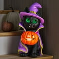 thumbnail image 1 of Member's Mark Pre-Lit Wonky Eye Character Decor, 1 of 2