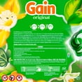 thumbnail image 2 of Gain Flings 4 in 1 Laundry Detergent Pacs, Original Scent, 152 ct., 2 of 10