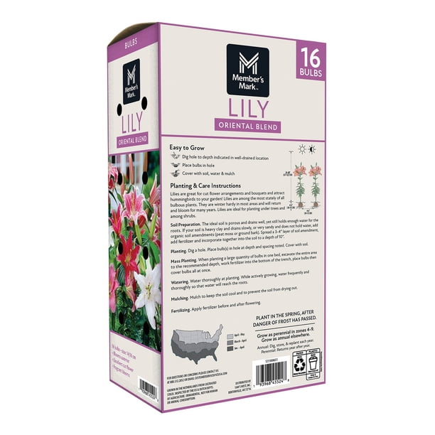 Member's Mark Lily Oriental Blend Dormant Bulbs, 16pk - Samsclub.com