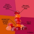 thumbnail image 4 of Honey Stinger Organic Energy Chew, Fruit Smoothie, Caffeine Free Healthy Fruit Snack, 1.8 oz., 12 pk., 4 of 6