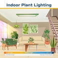 thumbnail image 9 of Costa Farms Live 6" Golden Pothos in Self-Watering Pot, 9 of 9