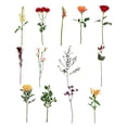 thumbnail image 5 of Member's Mark Farm Fresh Summer Flower Bouquet, 30 stems, choose color, 5 of 8