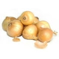 thumbnail image 2 of Yellow Onions (50 lbs.), 2 of 3