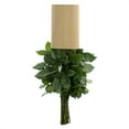 thumbnail image 5 of Member's Mark Ecuadorian Premium Roses, choose color variety and stem count, 5 of 6