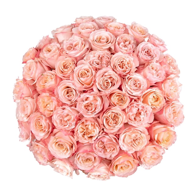 Member's Mark Ecuadorian Premium Roses, choose color variety and stem count
