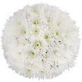thumbnail image 1 of Member's Mark Spider Mums, choose color and stem count, 1 of 7