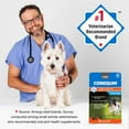 thumbnail image 9 of Nutramax Cosequin Minis Maximum Strength Joint Health Supplement, 45 Soft Chews, 9 of 10