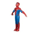 thumbnail image 5 of Marvel Amazing Spider-Man Kids Deluxe Costume, 5 of 13