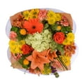 thumbnail image 5 of Member's Mark Jumbo Premium Bouquet, color and variety may vary, 5 of 6