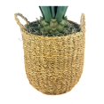 thumbnail image 2 of Artificial 42" Agave in Brown Handwoven Basket, 2 of 5