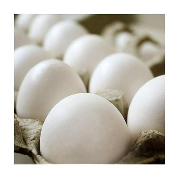 Large Eggs 15 dozen - Samsclub.com