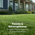 thumbnail image 8 of Scotts Turf Builder Lawn Food, 37.5 lbs., 8 of 10
