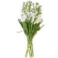 thumbnail image 3 of Member's Mark Stock, 100 stems, choose color, 3 of 7