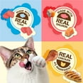 thumbnail image 5 of Purina Friskies Party Mix Natural Yums Cat Treats with Real Meat, 48 oz., 5 of 10