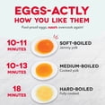 thumbnail image 5 of Dash 16-piece All-in-One Egg Cooker with Piping Bag and 9 Tips, 5 of 9