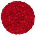 thumbnail image 1 of Member's Mark Mini Carnations, Choose color and stem count, 1 of 5