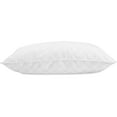 thumbnail image 3 of AllerEase Ultimate Protection and Comfort Down-Alternative Pillow, Assorted Sizes, 3 of 4