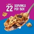 thumbnail image 4 of Raisin Bran Crunch Cereal, 42 oz., 4 of 13