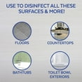 thumbnail image 3 of Lysol All Purpose Cleaner, Lemon Sunflower 210 fl. oz., 3 of 5