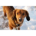 thumbnail image 5 of Road Runner Pet Friendly Ice Melt 9 lb Jug, 4 ct., 5 of 5