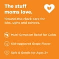 thumbnail image 6 of Hyland's Kids Cold & Cough Day & Night, Grape Flavor, 4 fl. oz., 3 pk., 6 of 6