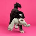 thumbnail image 5 of Jumbo Plush Bunny Dog Toy with TPR Ball & Rope, 5 of 5