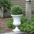 thumbnail image 3 of Faux 15" Round Boxwood Balls, 2pk, 3 of 6