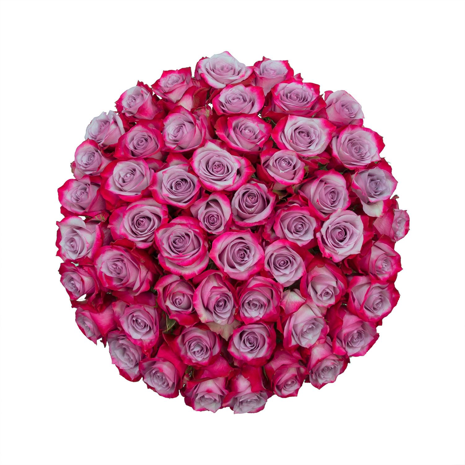 Member's Mark Ecuadorian Premium Roses, choose color variety and stem ...