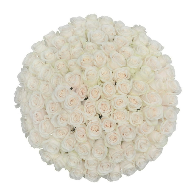 Member's Mark Ecuadorian Premium Roses, choose color variety and stem count