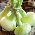 thumbnail image 6 of Member's Mark Garlic, Onions & Shallots, 200pk, 6 of 10