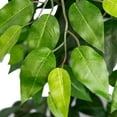 thumbnail image 5 of Faux 72" Ficus Tree in Roped-Style Handwoven Basket, 5 of 6
