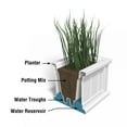 thumbnail image 4 of Mayne Cape Cod 24" x 11" Rectangle Planter, 4 of 5
