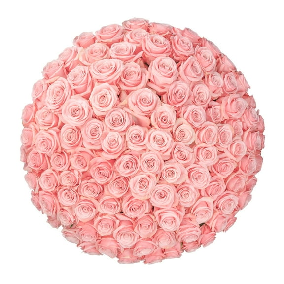 Member's Mark Ecuadorian Premium Roses, choose color variety and stem count