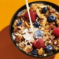 thumbnail image 6 of NuTrail Low Carb Keto Nut Granola, Cinnamon Pecan, 22 oz., 6 of 7