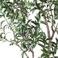 thumbnail image 3 of Member's Mark Faux 8' Deluxe Olive Tree in Oversized Cream Pot, 3 of 5