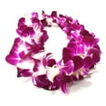 thumbnail image 1 of Member's Mark Single Orchid Lei, 1 of 4