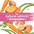 thumbnail image 8 of Purina Beneful Originals, Natural Salmon Dog Food, Dry Formula, 36 lbs., 8 of 12