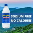 thumbnail image 5 of Springtime Artesian Water, 20 fl. oz., 30 pk., 5 of 9