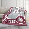 thumbnail image 2 of Logo Brands Texas Southern Tigers 60"x70" Super Plush Blanket, 2 of 6