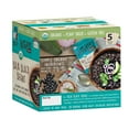 thumbnail image 2 of Bean Vivo Ready-to-Eat Organic Baja Black Beans (5 pk.), 2 of 6