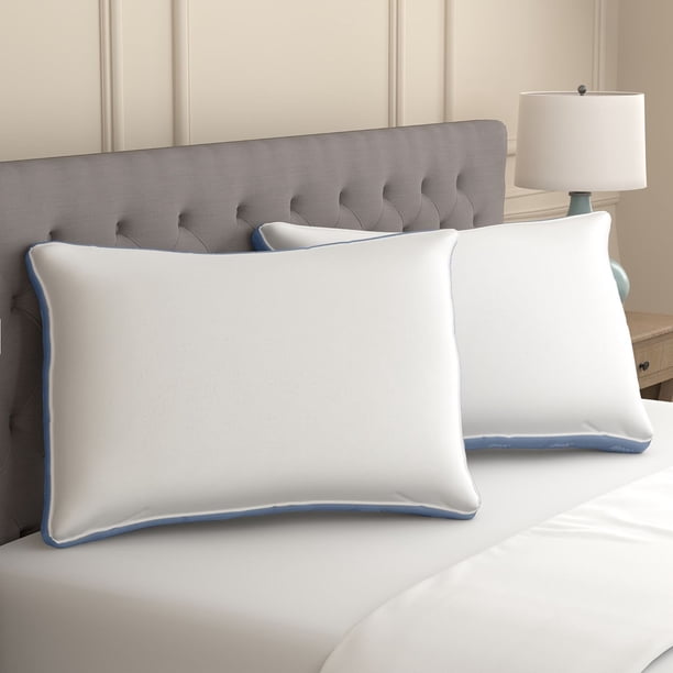Sealy Dreamlife 2-Pack Extra Firm Support Foam Core Pillow