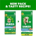 thumbnail image 3 of IAMS Proactive Health Large Breed Chicken Recipe Adult Dry Dog Food, Multi-sizes, 3 of 12
