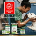 thumbnail image 5 of NaturVet, Advanced Probiotics and Enzymes Soft Chews for Dogs, 240 ct., 5 of 9
