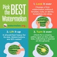 thumbnail image 6 of Whole Seedless Watermelon, 6 of 6